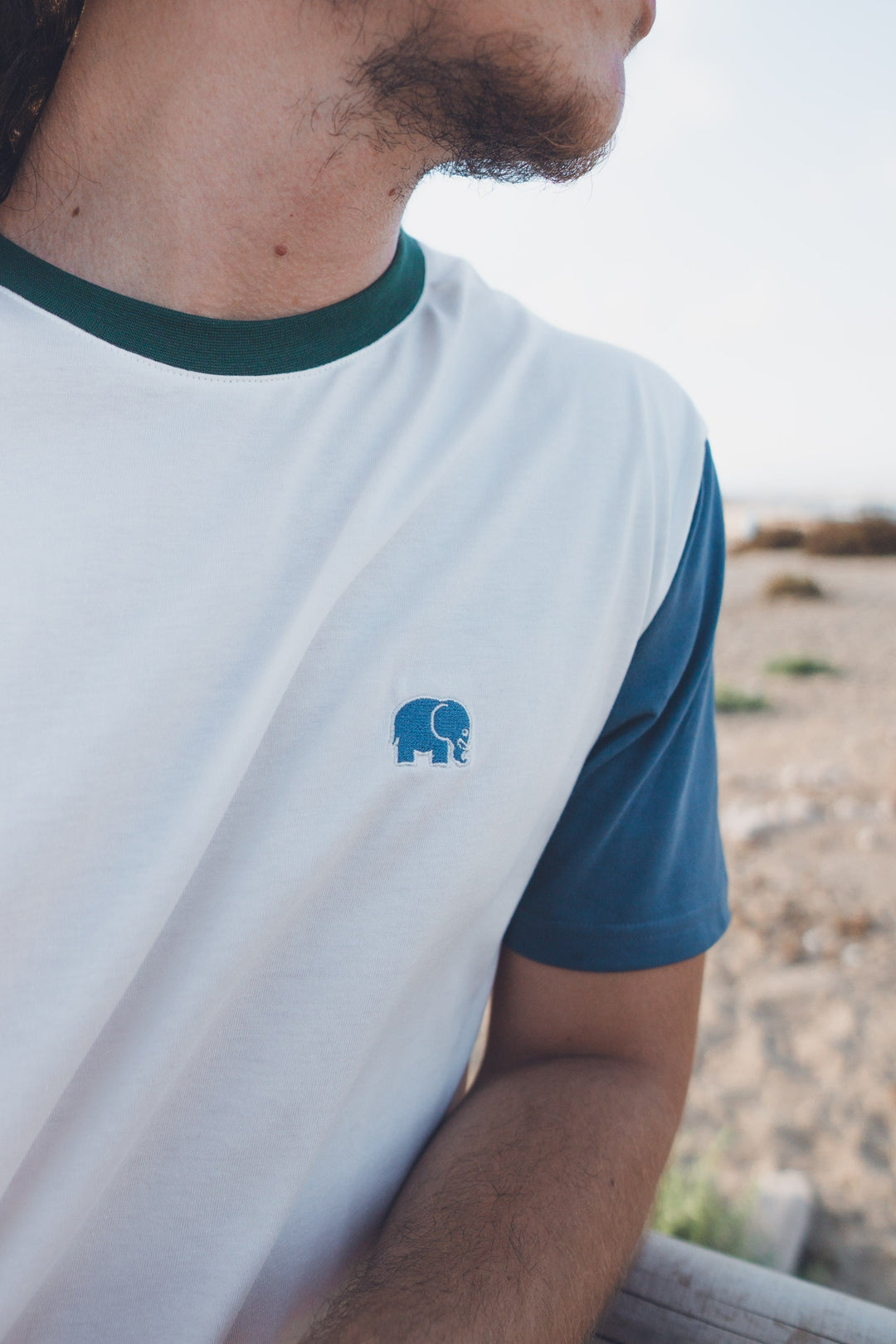 ColorBlock T-Shirt natural | trendsplant