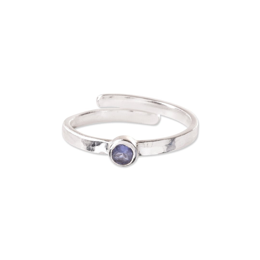 Companion Ring div. Modelle | a Beautiful Story
