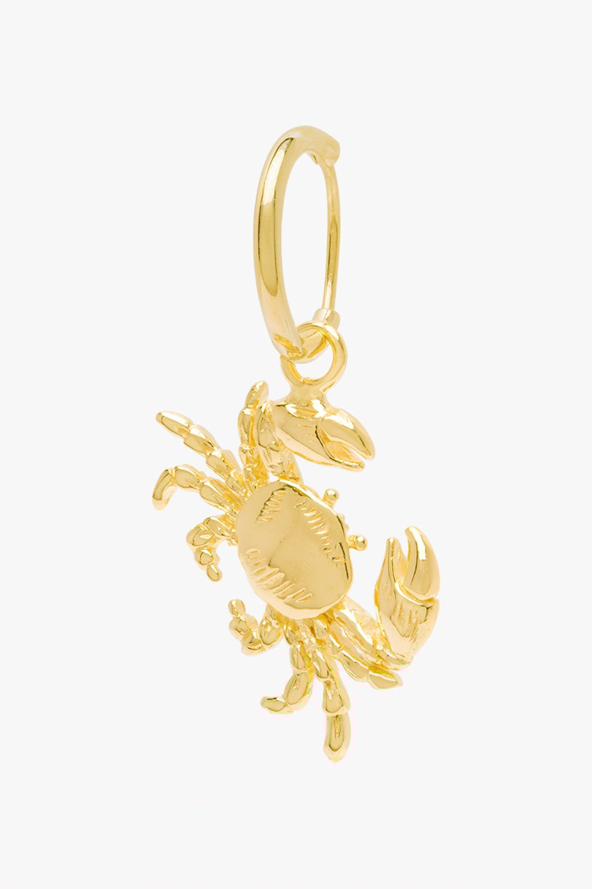 Ohrring Crab Gold | wildthings