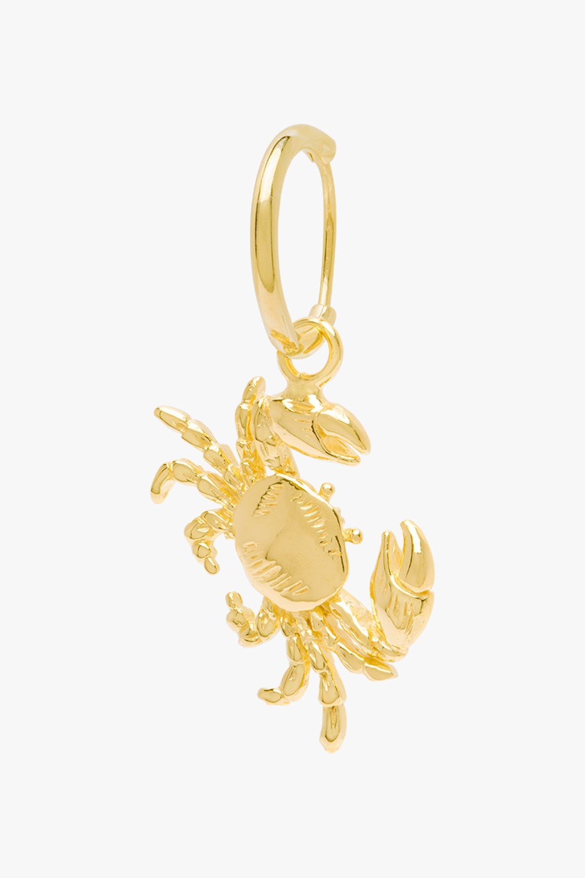 Ohrring Crab Gold | wildthings