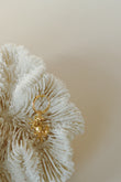 Ohrring Crab Gold | wildthings