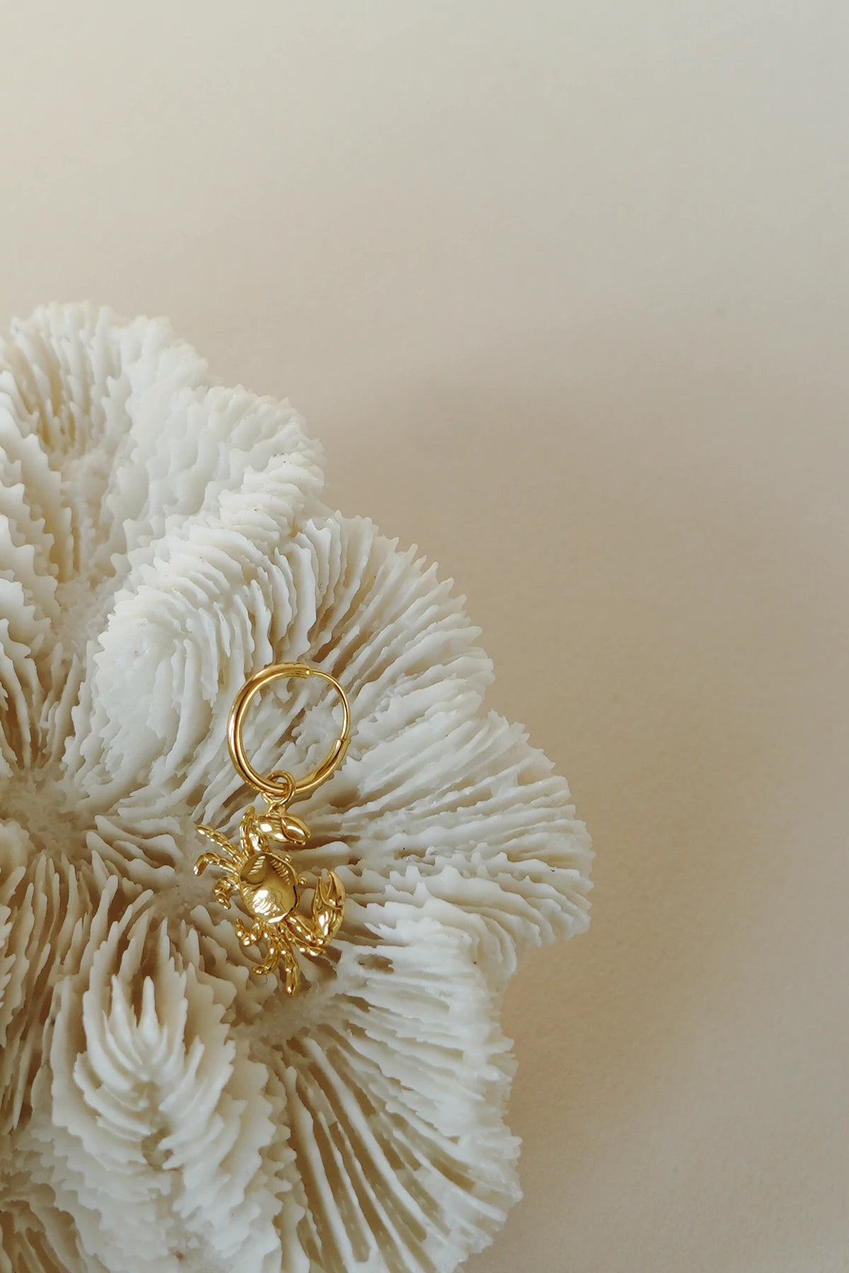 Ohrring Crab Gold | wildthings
